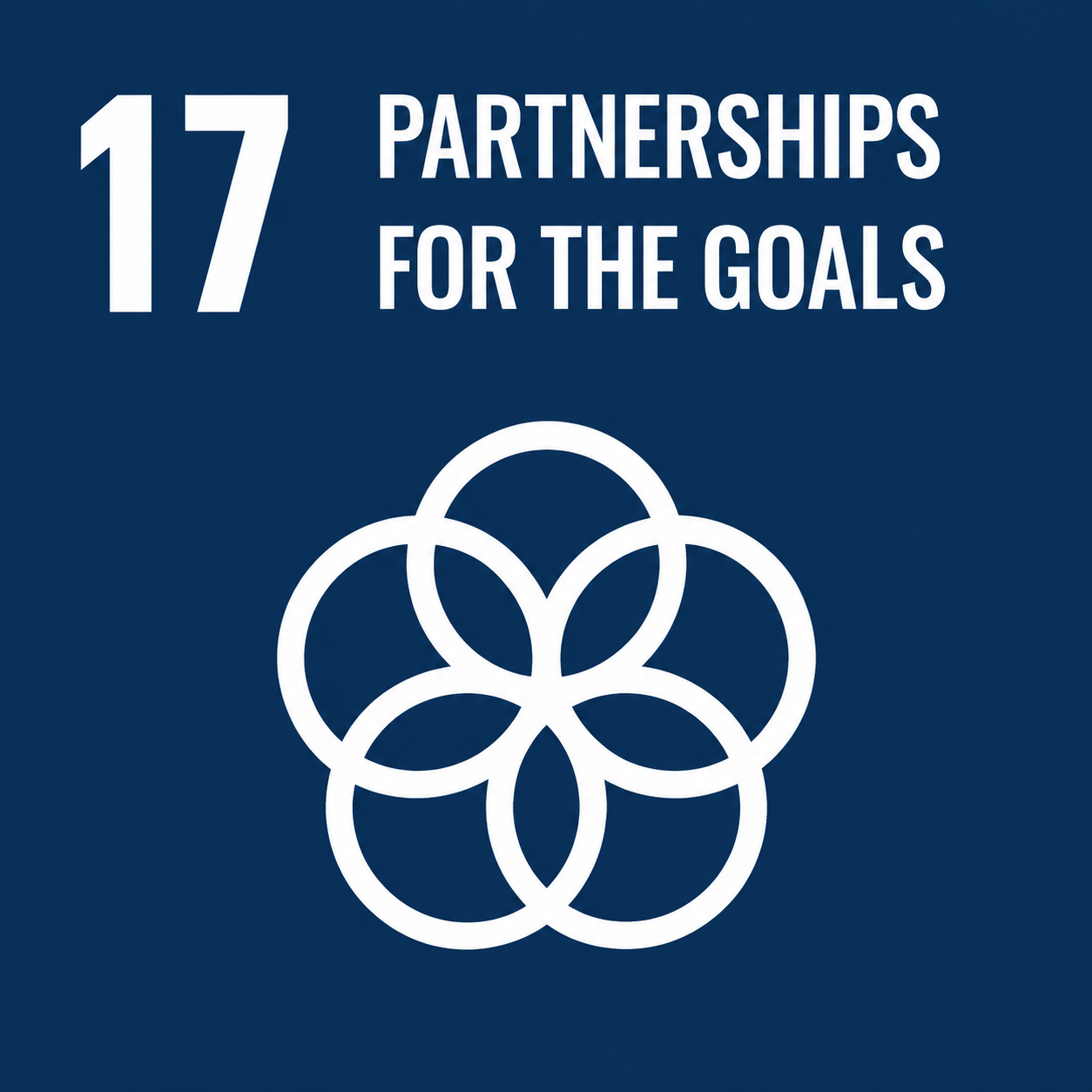 UN SDG 17 - Partnerships for the Goals